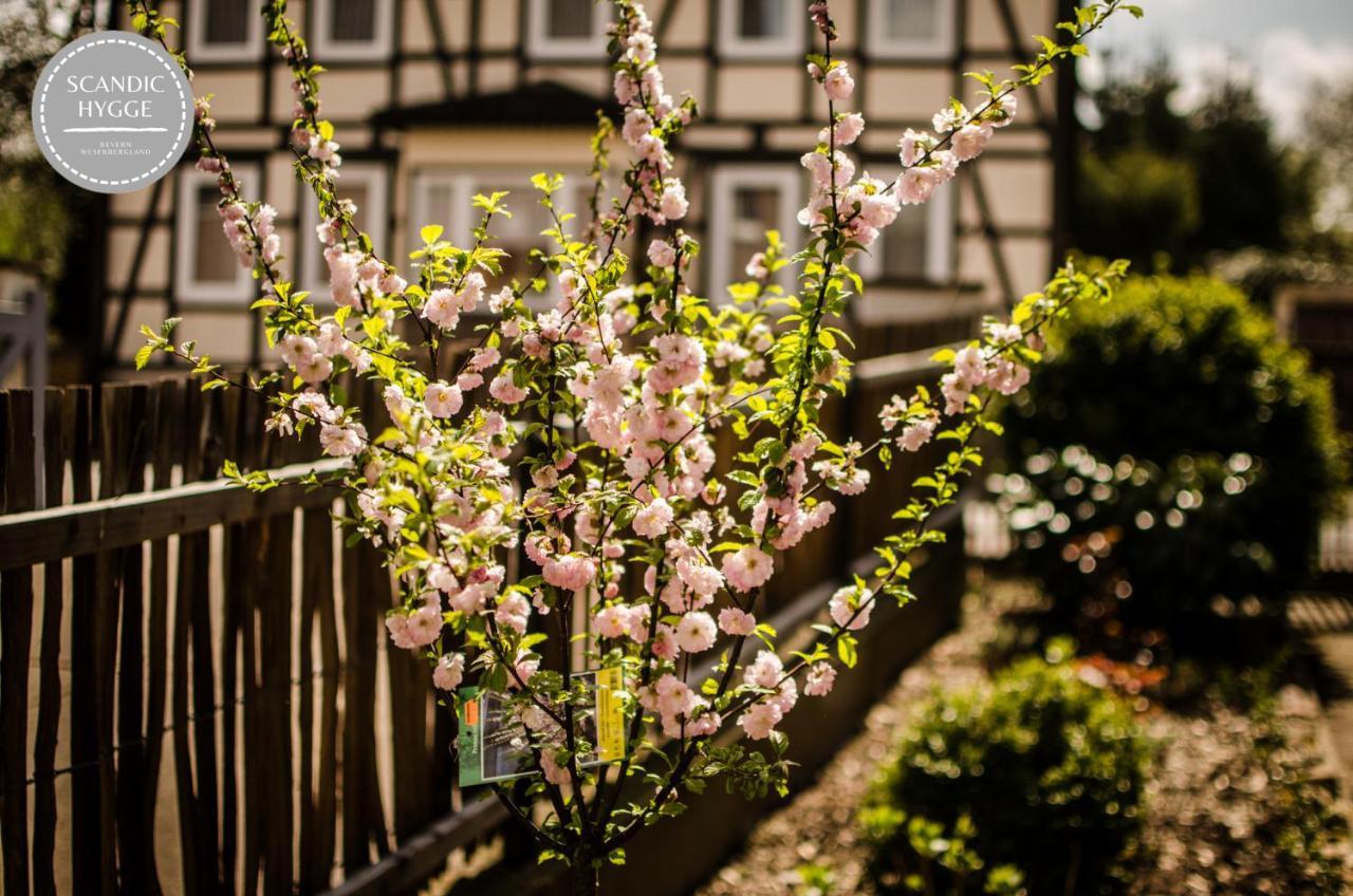 Ferienwohnung Scandic Hygge Bevern Im Weserbergland エクステリア 写真